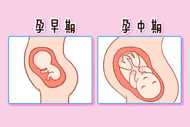 供卵试管婴儿一般15几万，湖南寻代供卵试管妈妈