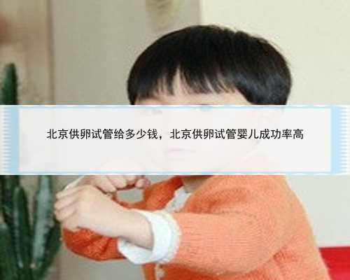 北京供卵试管给多少钱，北京供卵试管婴儿成功率高