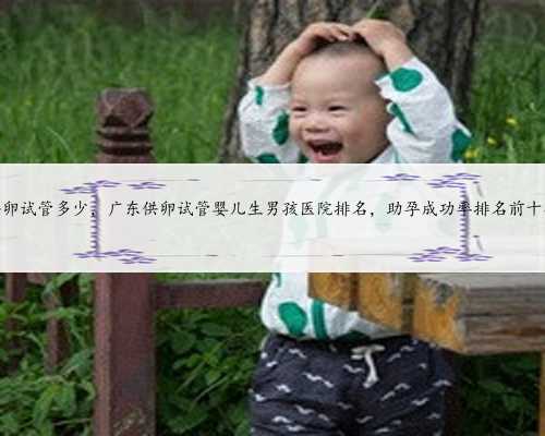 广东供卵试管多少，广东供卵试管婴儿生男孩医院排名，助孕成功率排名前十公