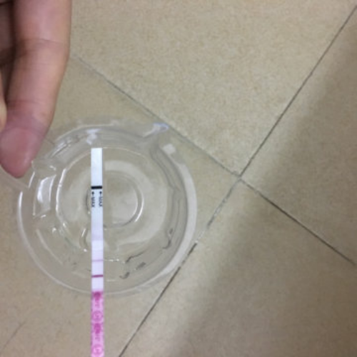 试管冷冻胚胎移植成功率有多少？哪些因素会影响冷冻胚胎移植的成功率