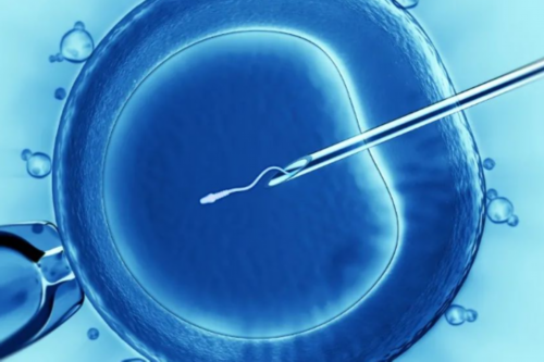 想要生男孩儿 备孕时得学会这姿势