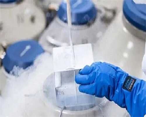 代孕宝宝地址-备孕可以吃羊肉吗 备孕吃羊肉好吗