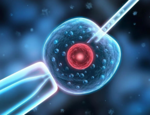 卵巢囊肿影响生育吗卵巢囊肿带来的三大影响