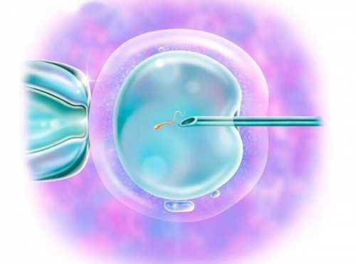 供卵自怀三胎-麻风疫苗的副作用？麻风疫苗