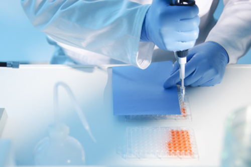 供卵冻胚移植后五天变化（冻胚移植的最佳时间）