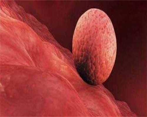 最佳代怀网-多囊试管婴儿成功率高吗视频(多囊患者试管婴儿成功率高吗)