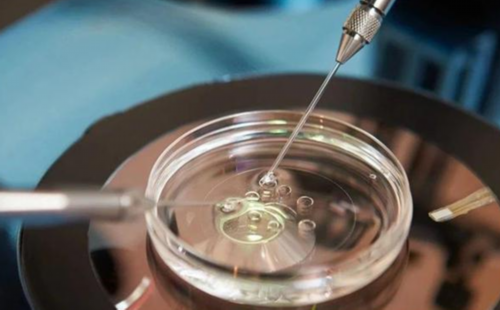 代生小孩费用-取十几个卵会不会腹水，取17个卵会腹水吗