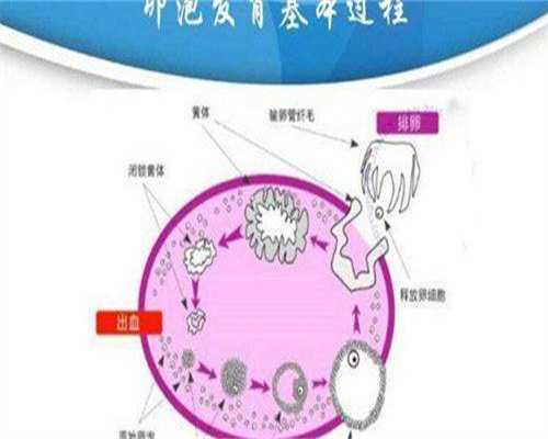 通过泰国试管婴儿流程来合理安排手术时间