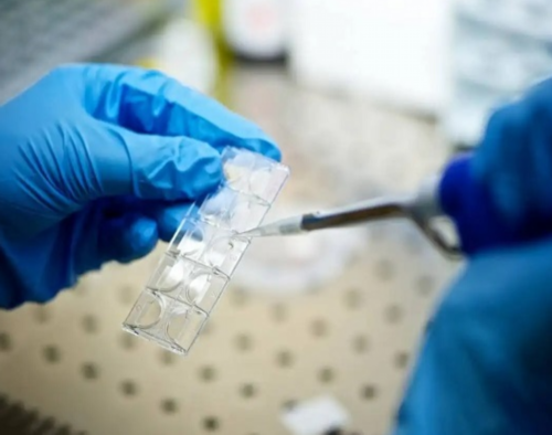 代怀孕花费-月经量少喝藏红花有用吗