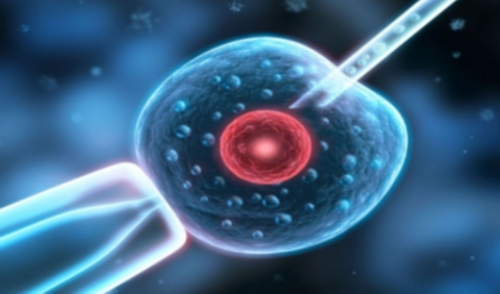 孕中期孕酮低会怎么样(孕中期孕酮值正常范围是多少)