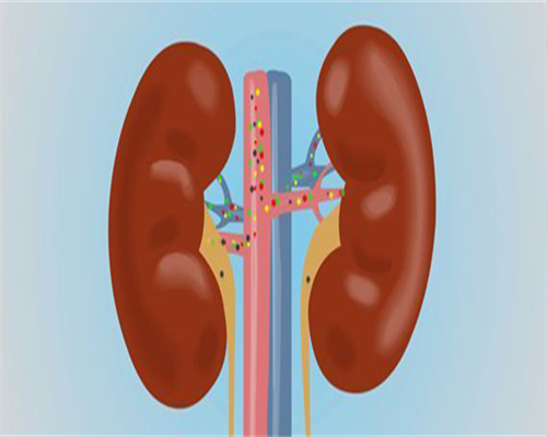 助孕咨询联系-第三代试管婴儿移植鲜胚还是冻胚好?