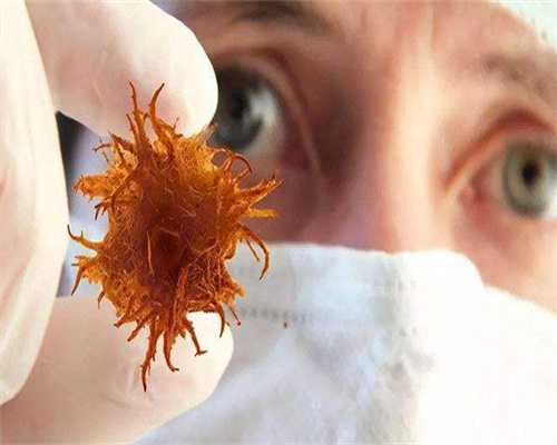 怀孕周期计算器 如何计算孕期时间