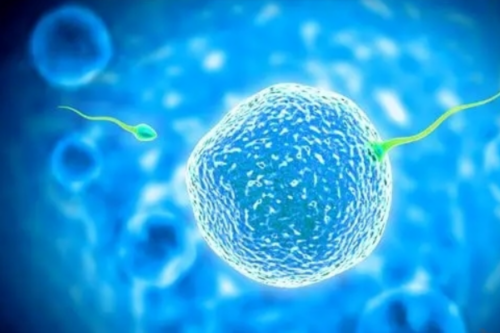 代孕产子医院：去杰特宁生殖医院做试管多少钱？这份费用表请收好