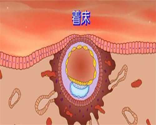 试管代生官网-试管取卵当月能不能移植
