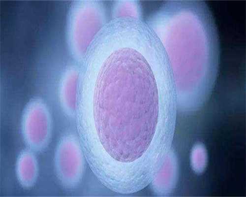 代孕套餐介绍-已经出囊胚结果，分享三代试管婴儿的经验