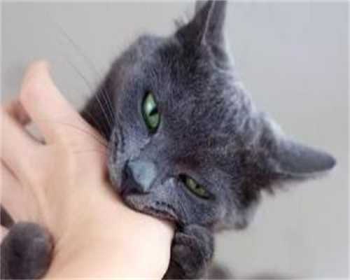 鲜胚移植11天孕酮15，移植后第四天孕酮成功