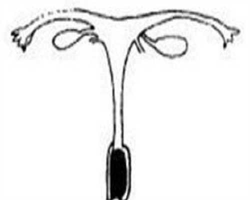 代生男孩中介：45岁amh值多少是正常范围？