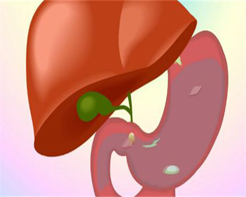 男性备孕前检查项目 男性备孕前检查项目挂什么科