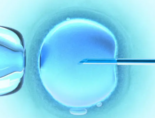 第三代试管都是移植冻胚吗