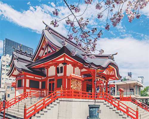 如何提高试管成功率什么是降调，降调有什么作用？