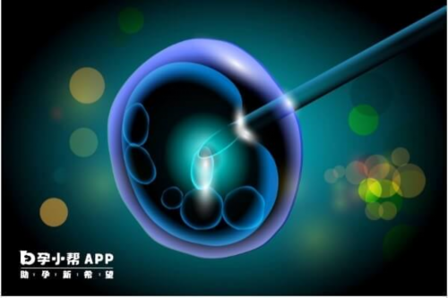 代生要多少钱-多囊中药调理效果怎样？吃多久能怀孕一文通