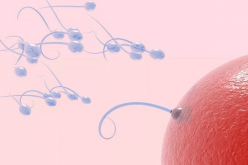 B超能不能查出怀孕？