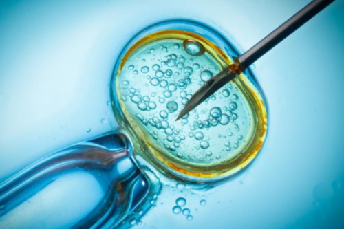 甲羟孕酮片和黄体酮胶囊的区别