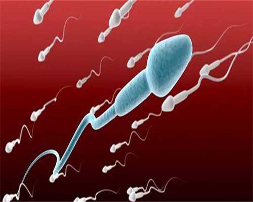 供卵产子公司:湖北宜昌试管婴儿补贴多少钱，内附申请流程指南