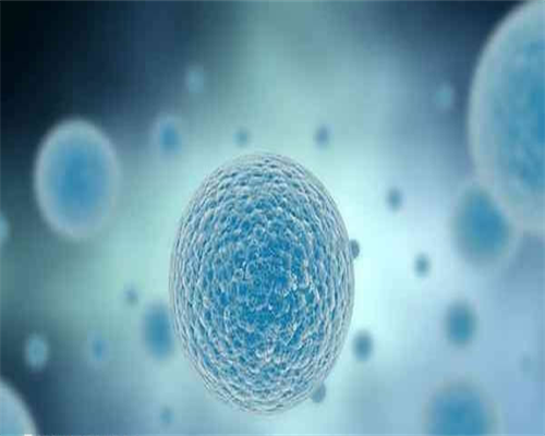 供卵包怀男孩:24岁备孕注意事项,24岁备孕 24岁备孕需要注意什么