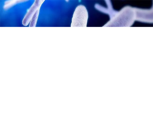 移植的鲜胚质量等级不高是不是着床越晚？