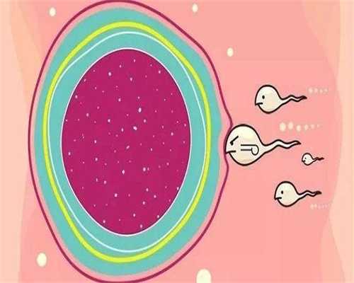 同房后精液流出,会影响怀孕吗?