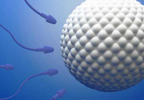 「囊胚4bc」囊胚4bc质量好不好？