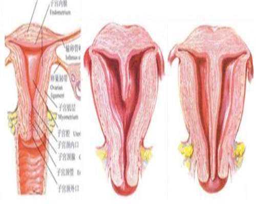 英国医院患者指南，六～第​​三代试管PGS​​染色体检测