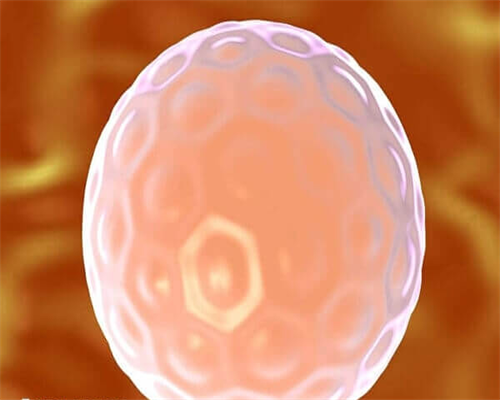 专业代生子:辅助生殖冷冻胚胎知多少？