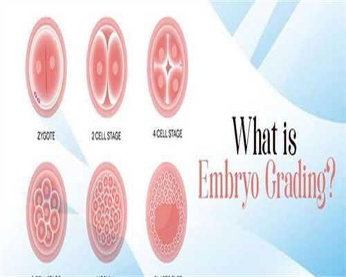 IVF胚胎移植子宫内膜的正常值