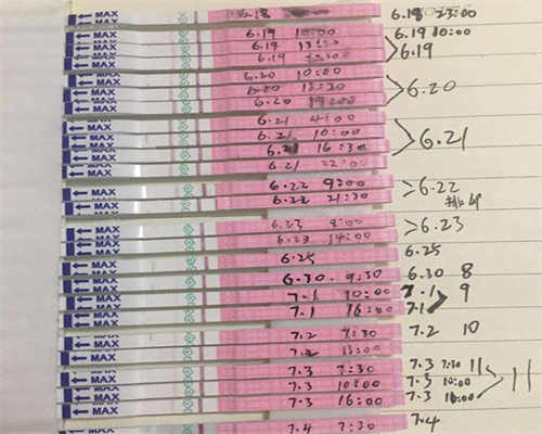 代生包儿子-精子和卵子是怎么形成的 卵巢囊肿手术有后遗症吗