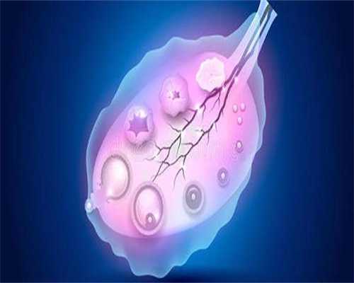 白带白细胞3清洁度3
