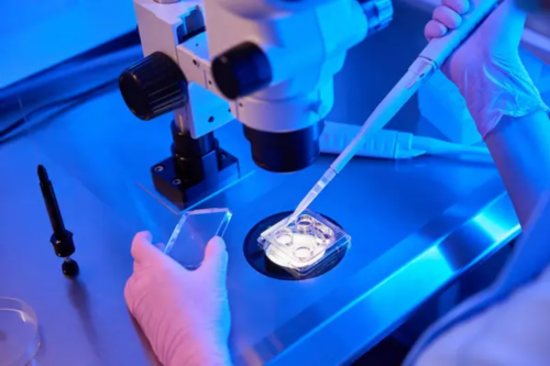 试管婴儿移植后的饮食禁忌？试管婴儿移植后的饮食、活动日常生活？