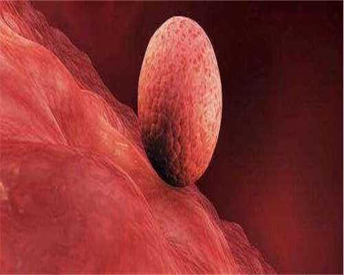 代生公司正规-【amh0.58】amh0.58还能不能试管