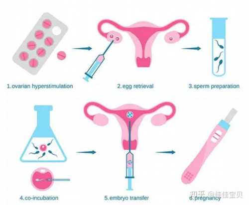 脐带异常，孕妈妈的必备知识