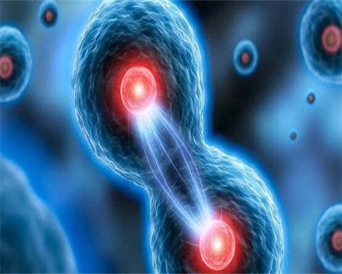 试管婴儿鲜胚移植成功率受什么影响？