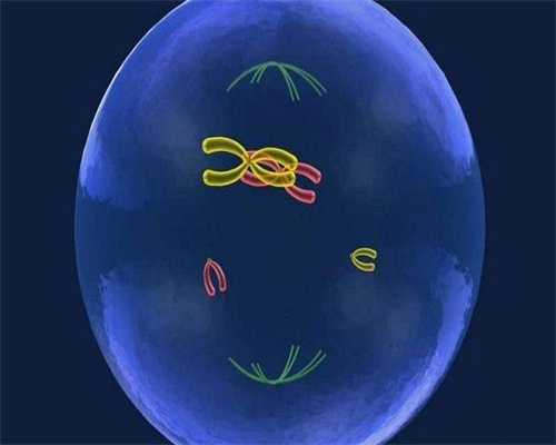 高龄试管胎停怎么办?高龄试管胎停原因