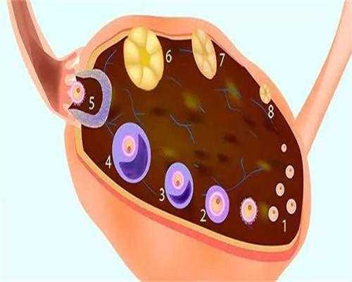 代孕包生孩子-月经最后几天褐色分泌物