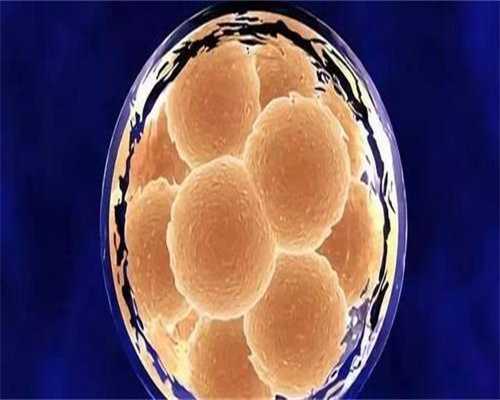 试管婴儿移植后能不能吃菠萝蜜