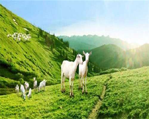 代孕套餐优惠:33岁有卵巢早衰该怎么调理?