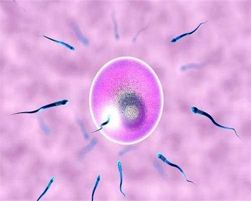 借卵怀孕：移植后吃了辛辣食物出现不适症状，应该避免吃哪些食物？