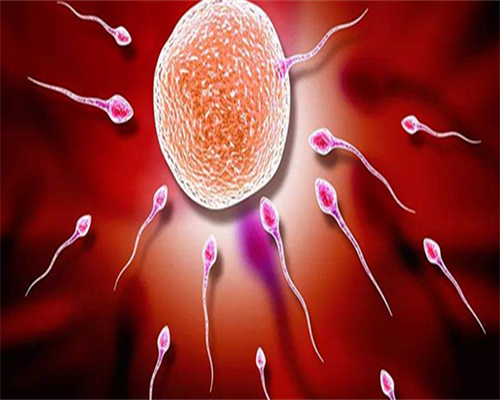 试管供卵助-女士取环什么时候取比较好