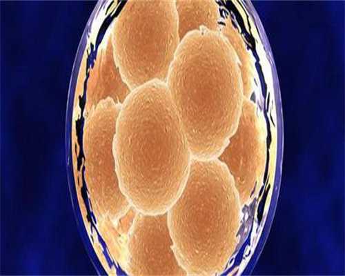 代孕供卵试管-子宫内膜整个脱落是什么样的？子宫内膜脱落的真正图片