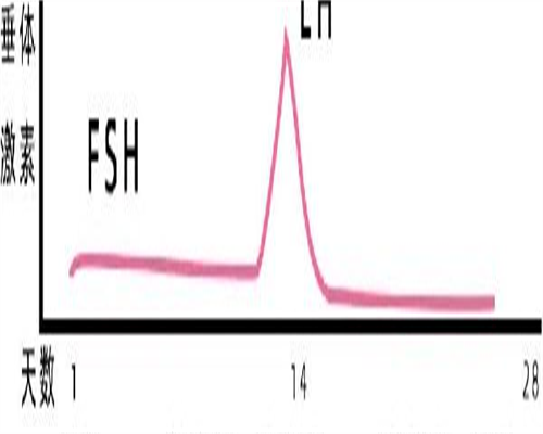 备孕期间同房后还可以艾灸吗（孕前健康）