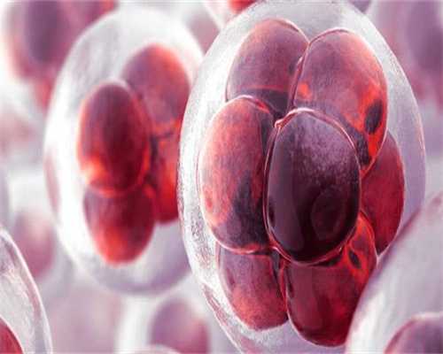 借卵价格:辅助生殖冷冻胚胎好吗?